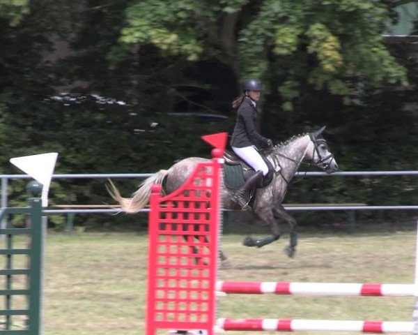 Reitturnier Woldegk 2024