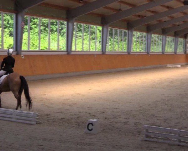 Reitturnier Münster-Amelsbüren 2024