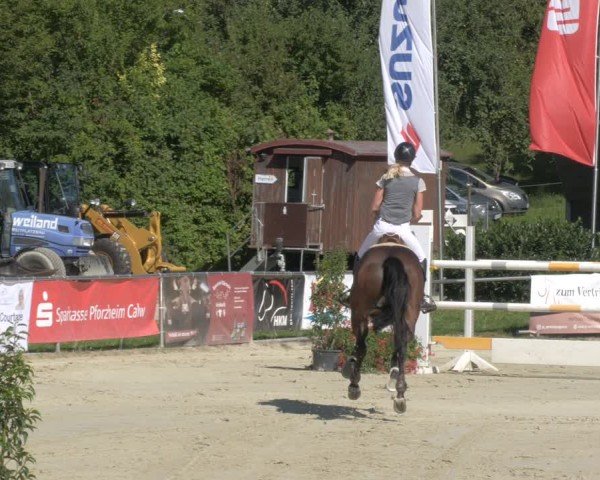 Reitturnier Oberderdingen 2024