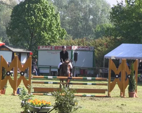 Halle-Tatenhausen Schloßturnier 2013