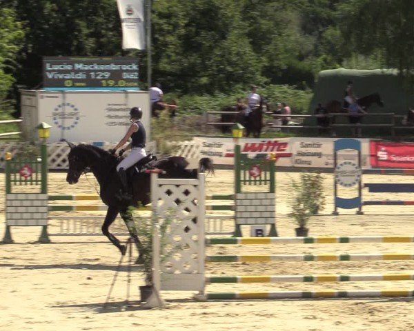 Reitturnier Vellinghausen 2024