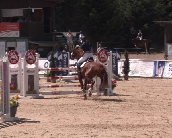 Reitturnier Ranshofen - Braunau am Inn 2024