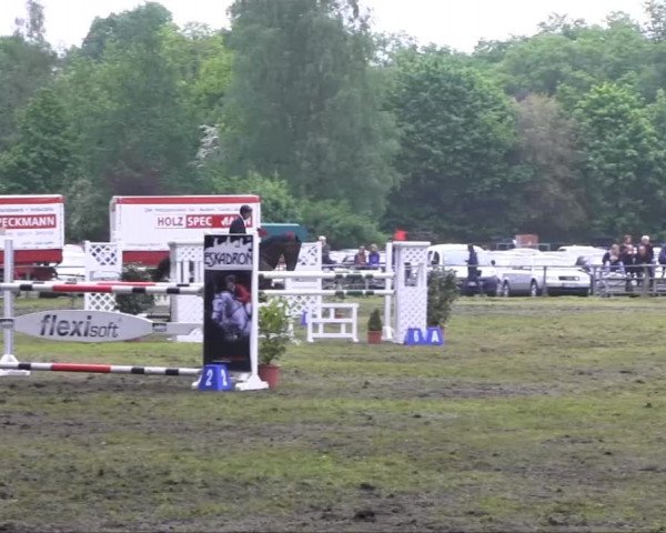 Halle-Tatenhausen Schloßturnier 2013