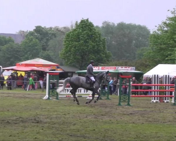 Halle-Tatenhausen Schloßturnier 2013