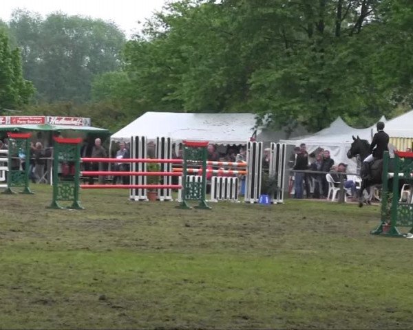 Halle-Tatenhausen Schloßturnier 2013