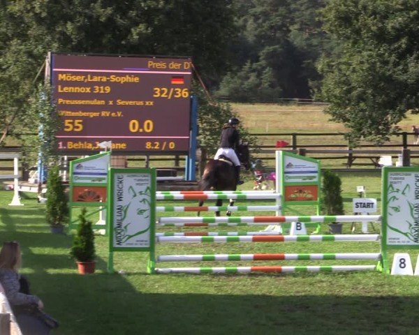 Reitturnier Niemegk / Neuendorf 2024