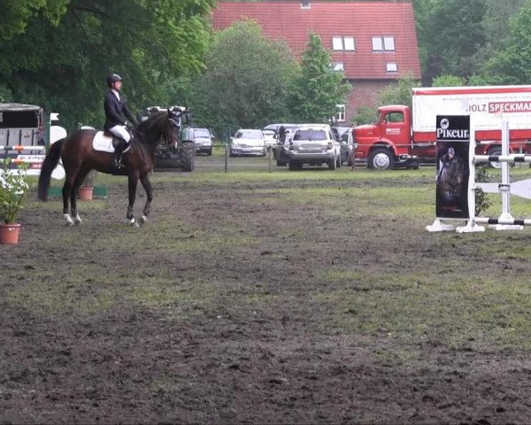 Halle-Tatenhausen Schloßturnier 2013