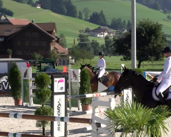 Reitturnier Schüpfheim 2024