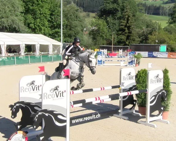 Reitturnier Schüpfheim 2024