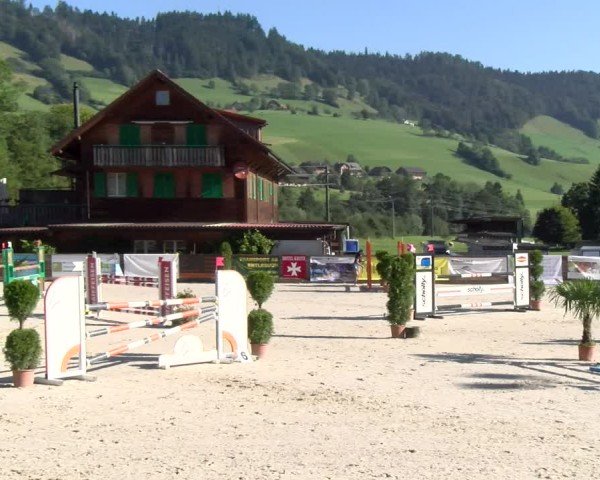 Reitturnier Schüpfheim 2024