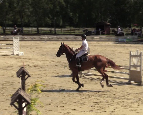 Reitturnier Vellinghausen 2024