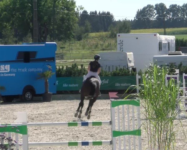Reitturnier Sauldorf-Boll 2024