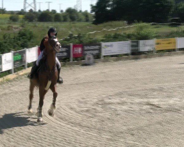 Reitturnier Sauldorf-Boll 2024