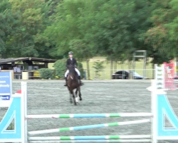 Reitturnier Horitschon 2024