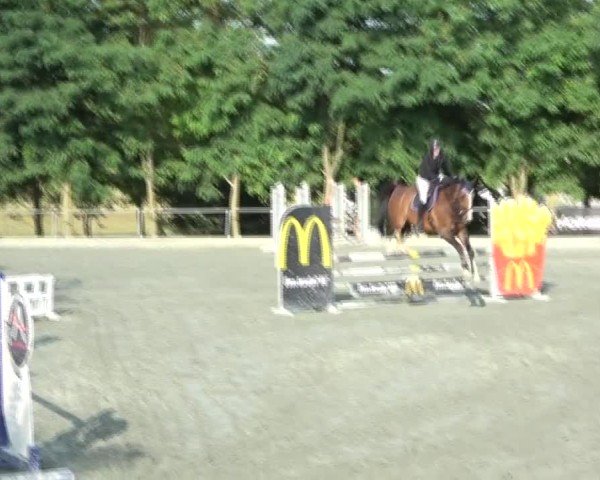 Reitturnier Horitschon 2024