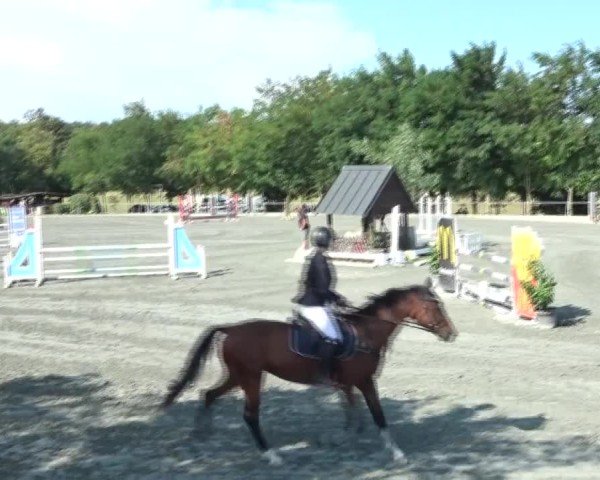 Reitturnier Horitschon 2024