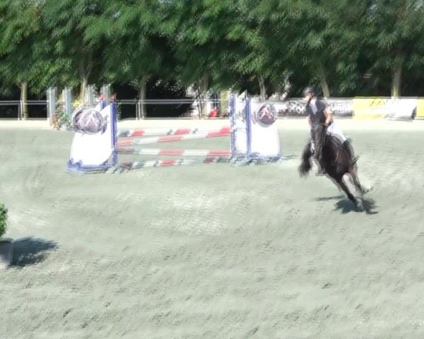 Reitturnier Horitschon 2024