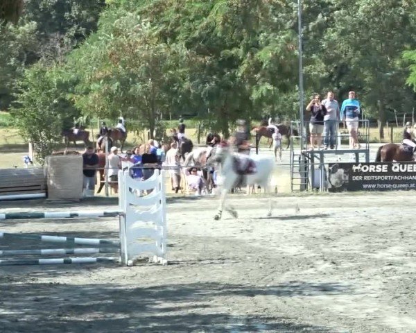Reitturnier Horitschon 2024
