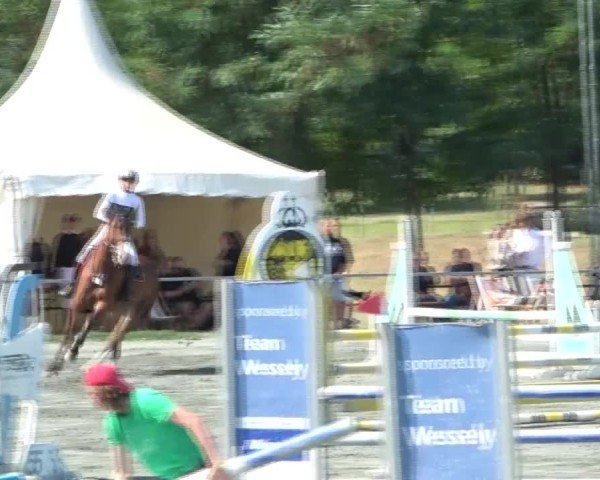 Reitturnier Horitschon 2024