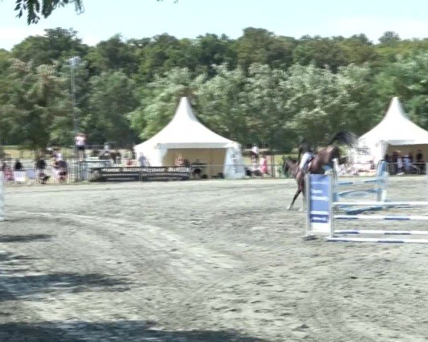 Reitturnier Horitschon 2024