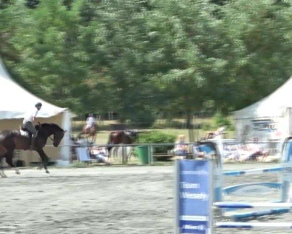 Reitturnier Horitschon 2024