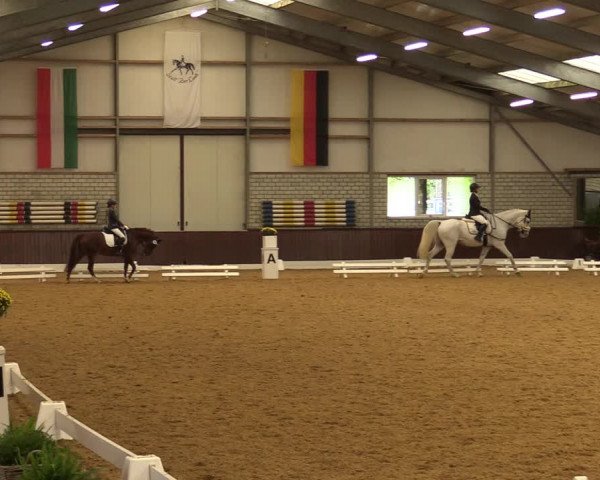 Reitturnier Kirchhellen-RSV Zur Linde 2021