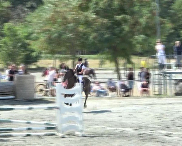Reitturnier Horitschon 2024