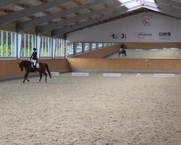 Reitturnier Münster-Amelsbüren 2024
