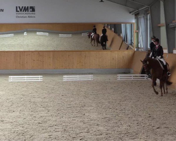 Reitturnier Münster-Amelsbüren 2024