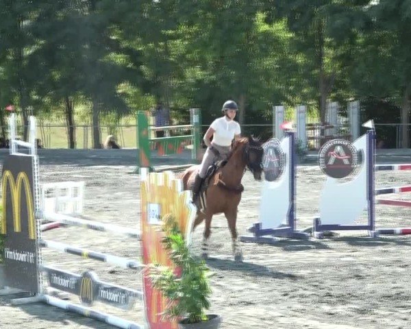 Reitturnier Horitschon 2024