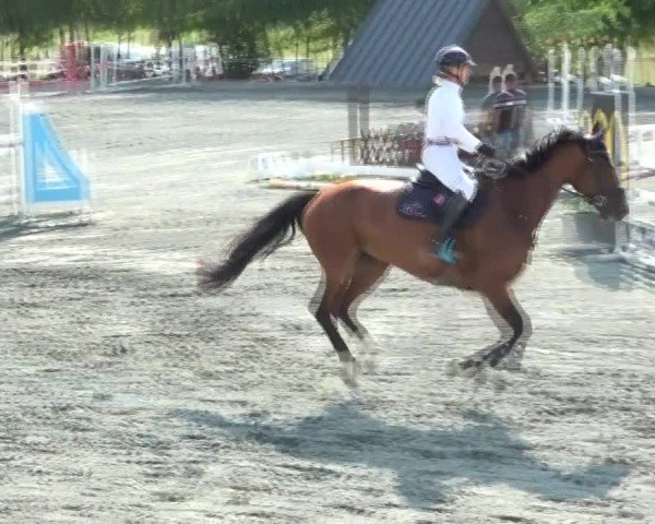 Reitturnier Horitschon 2024