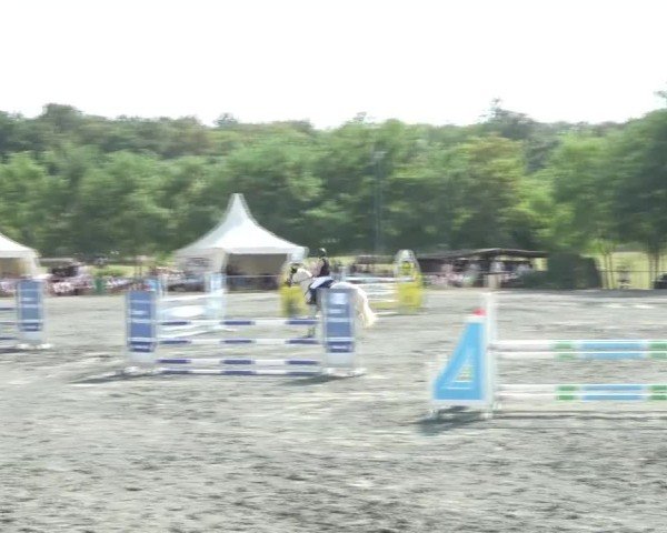 Reitturnier Horitschon 2024