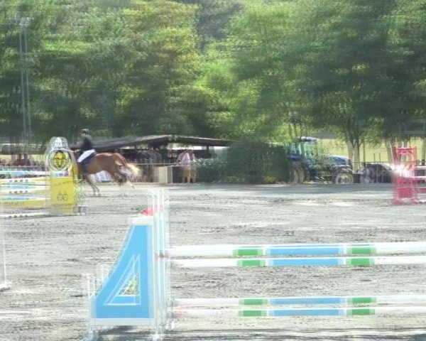 Reitturnier Horitschon 2024