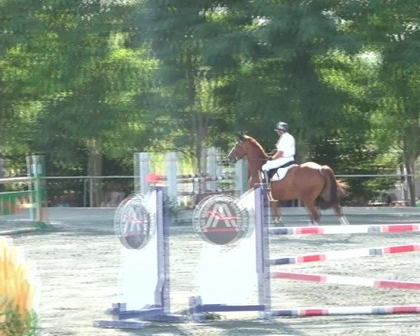 Reitturnier Horitschon 2024