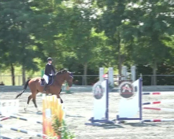 Reitturnier Horitschon 2024