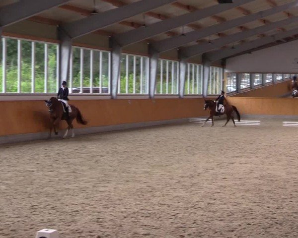 Reitturnier Münster-Amelsbüren 2024
