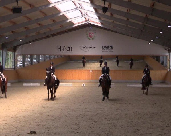 Reitturnier Münster-Amelsbüren 2024