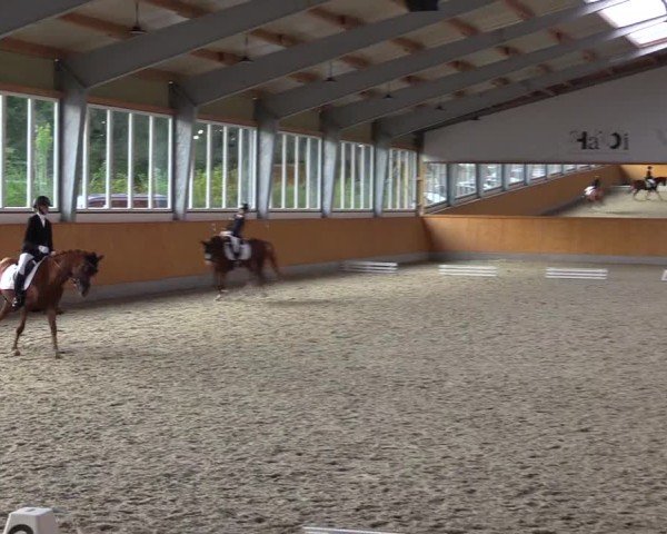 Reitturnier Münster-Amelsbüren 2024
