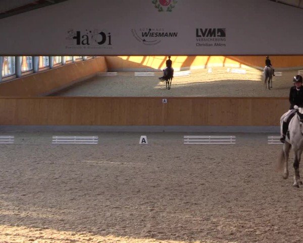 Reitturnier Münster-Amelsbüren 2024
