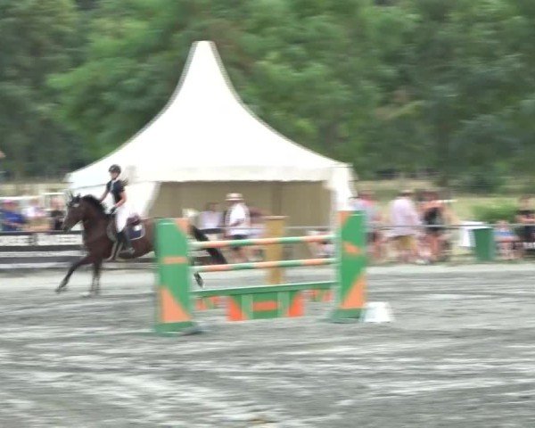 Reitturnier Horitschon 2024