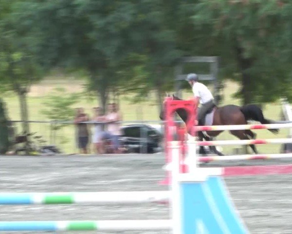 Reitturnier Horitschon 2024