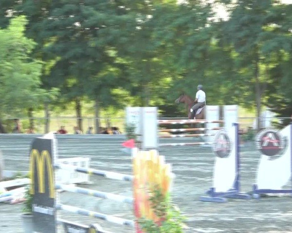 Reitturnier Horitschon 2024