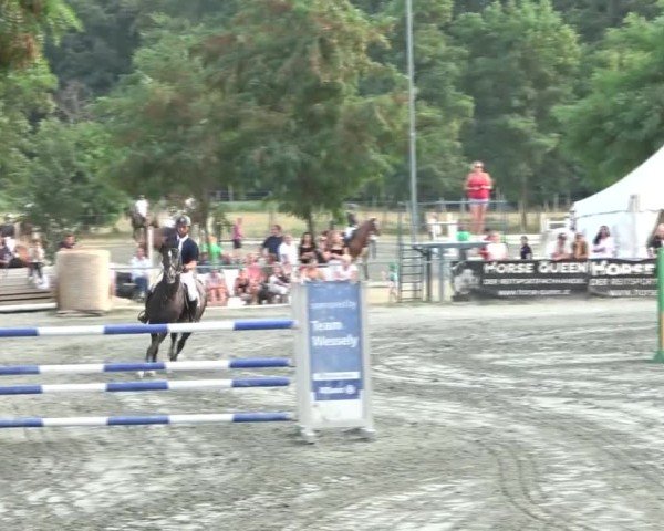 Reitturnier Horitschon 2024