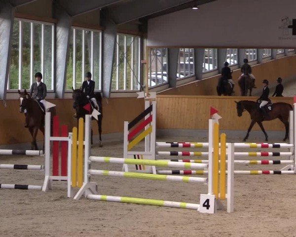 Reitturnier Münster-Amelsbüren 2024