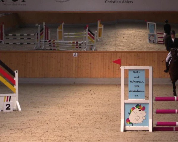 Reitturnier Münster-Amelsbüren 2024