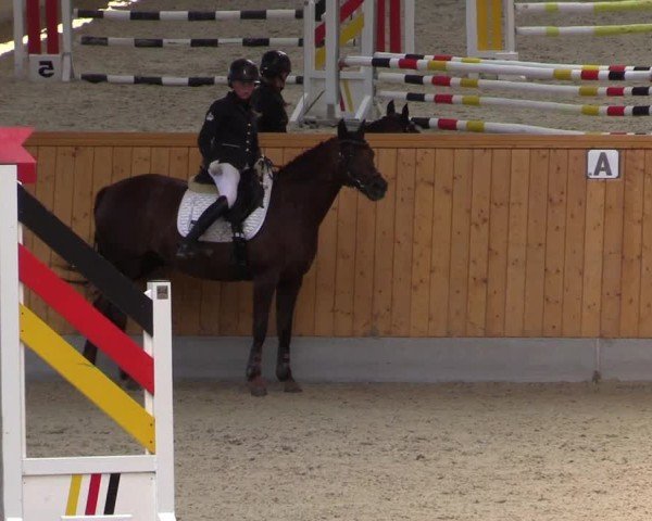 Reitturnier Münster-Amelsbüren 2024