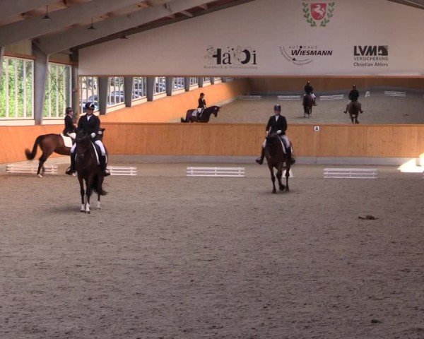 Reitturnier Münster-Amelsbüren 2024