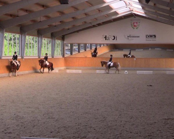 Reitturnier Münster-Amelsbüren 2024