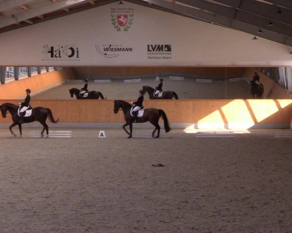 Reitturnier Münster-Amelsbüren 2024