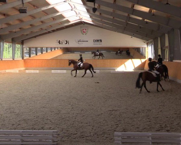 Reitturnier Münster-Amelsbüren 2024